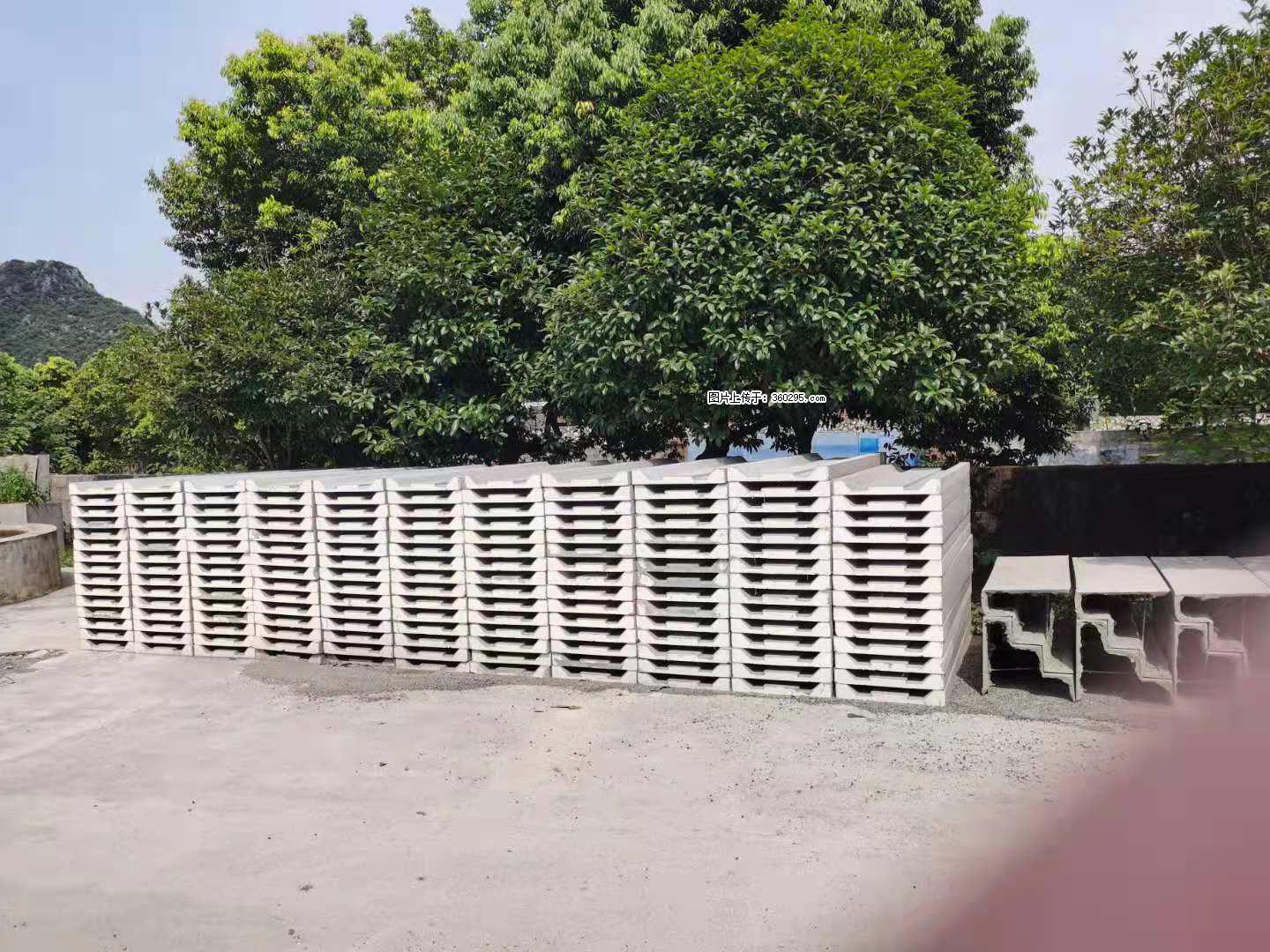 三象公司厂部产品(10) - 南宁三象EPS建材 nn.sx311.cc